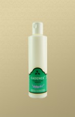 LJEPILO ZA SALVETE 250ml