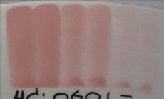 ENGOBA BABY PINK 59ml