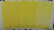 ENGOBA CANARY YELLOW 59ml