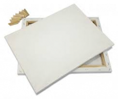 SLIKARSKO PLATNO 30X60