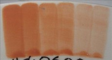 ENGOBA PEACH BLUSH 59ml